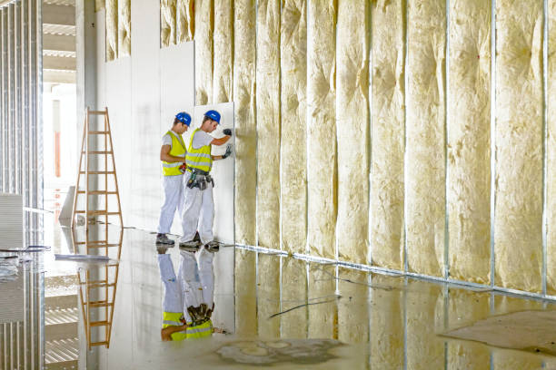 Best Types of Insulation in Steelton, PA